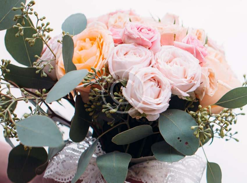 image-12.jpg